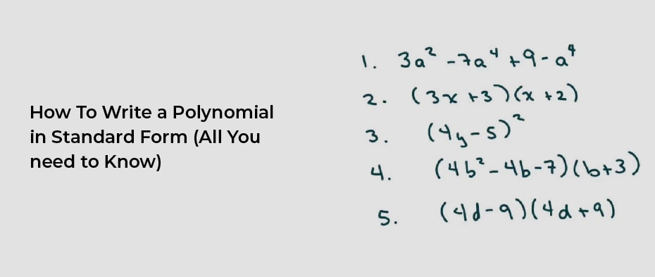 How To Write a Polynomial in Standard Form (All You need to Know)